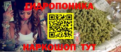 СК Анапа