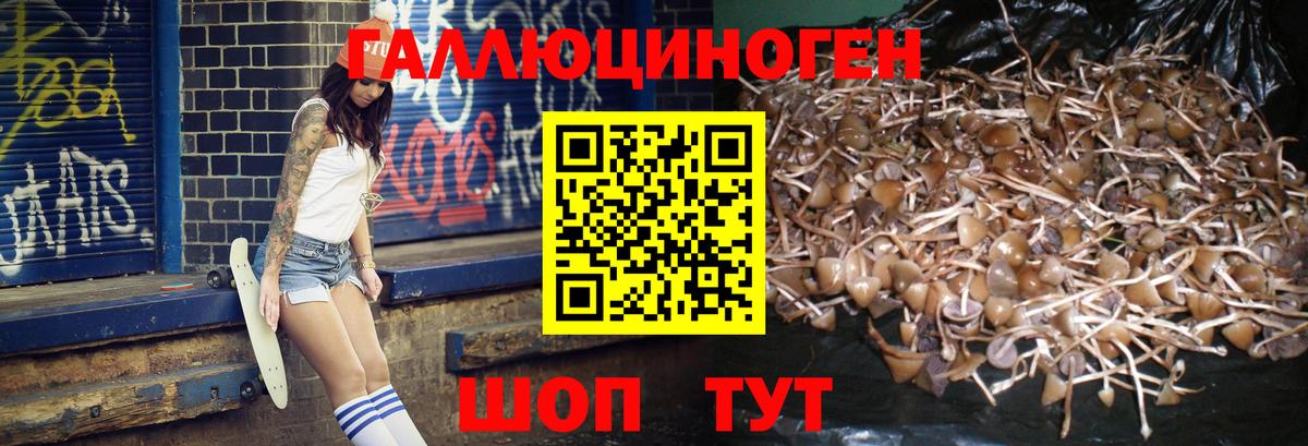 Псилоцибиновые грибы Magic Shrooms  Галлюциногенные грибы мухоморы  Богданович  Вход с VPN 